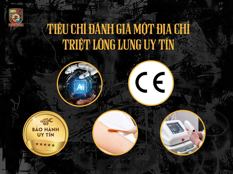 Các tiêu chí quan trọng để đánh giá địa chỉ triệt lông lưng uy tín và chất lượng.