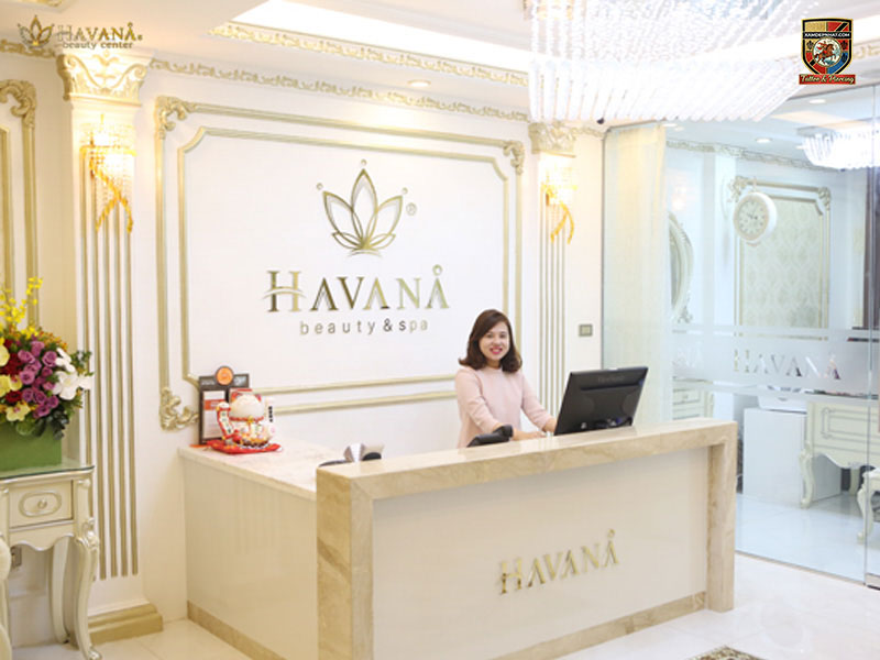 Quầy lễ tân sang trọng đón tiếp khách hàng tại địa chỉ phun mí mắt nai Havana Beauty & Spa.