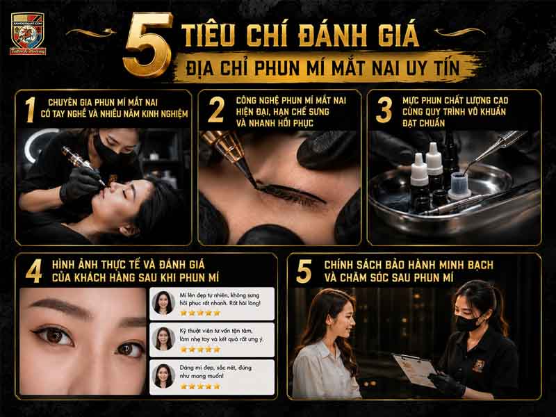Các tiêu chí cốt lõi để đánh giá và lựa chọn một địa chỉ phun mí mắt nai uy tín.