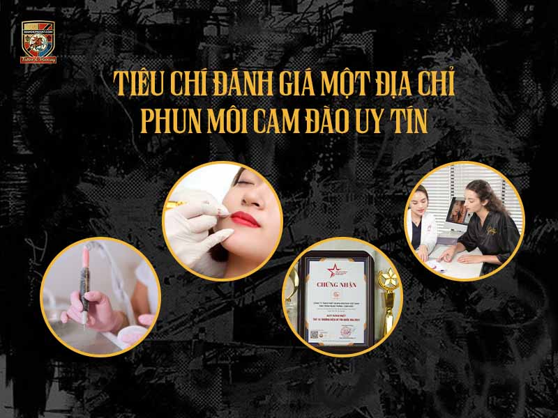 Tiêu chí lựa chọn địa chỉ phun môi cam đào uy tín và chất lượng cao.